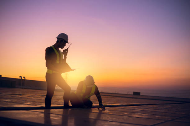 Best Flat Roof Repair Services  in Prospect Heights, IL