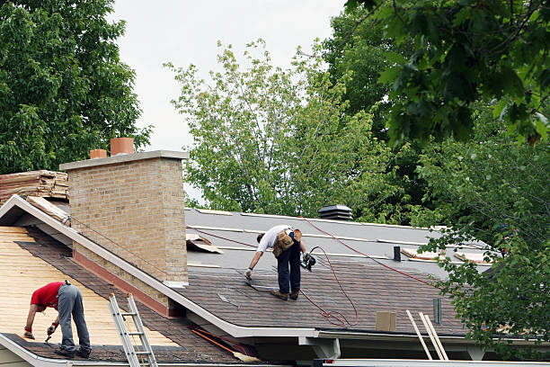 Best Roof Maintenance Services  in Prospect Heights, IL