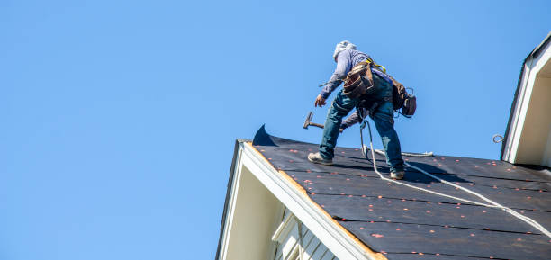 Best Residential Roof Replacement  in Prospect Heights, IL